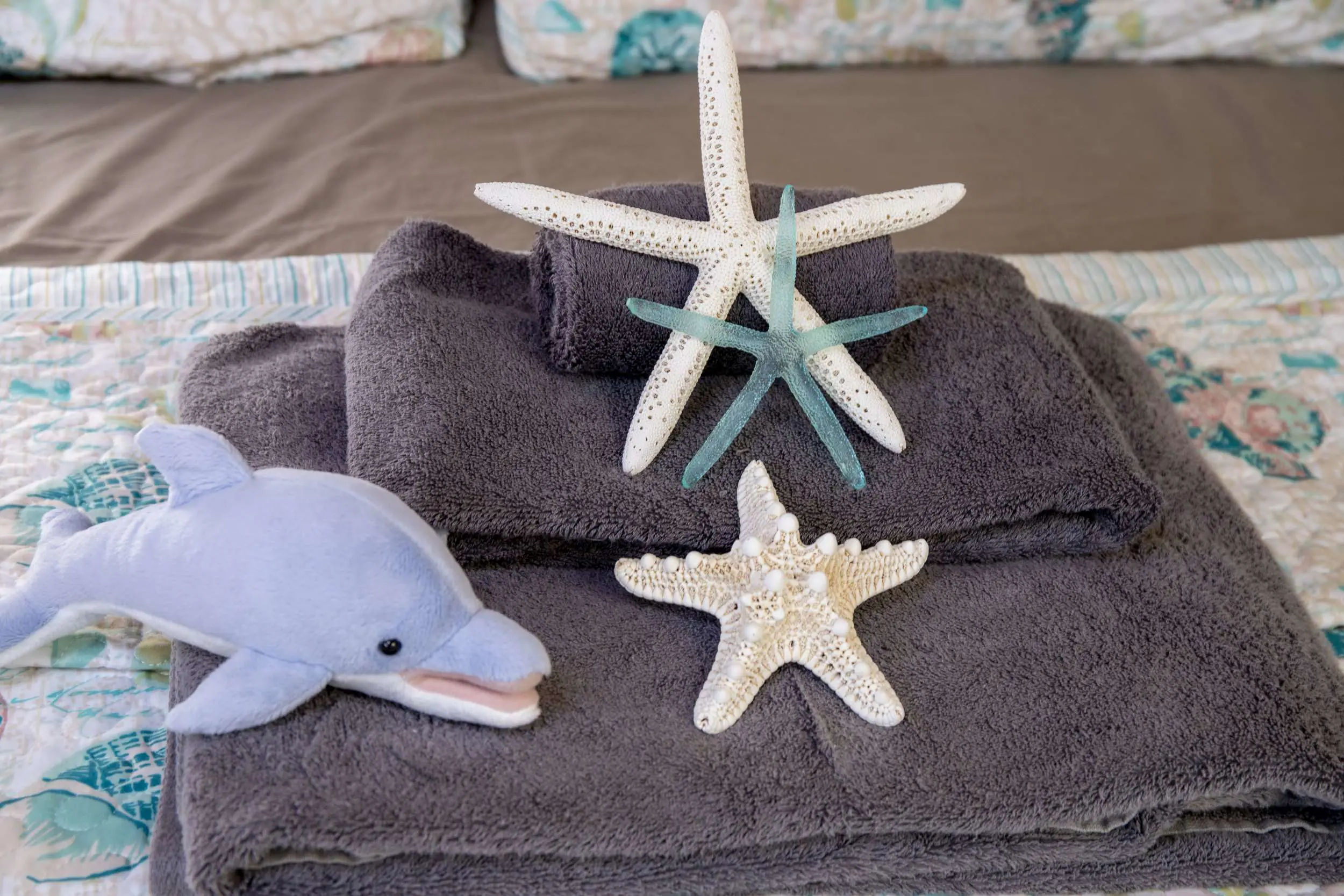 Used Sail Catamaran for Sale 2017 Lagoon 560 