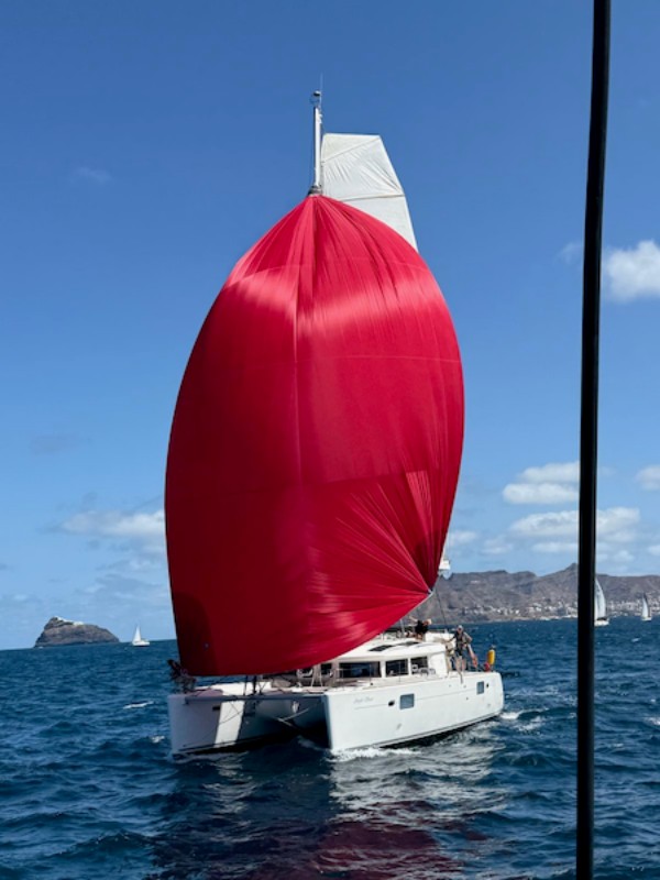 Used Sail Catamaran for Sale 2015 Lagoon 450 F Additional Information